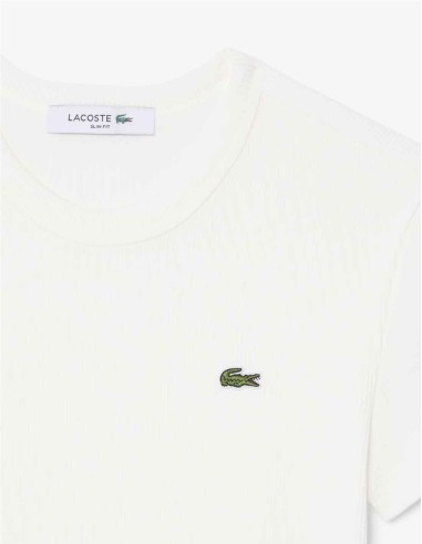CAMISETA CANALÉ  DE LACOSTE