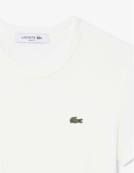 CAMISETA CANALÉ  DE LACOSTE