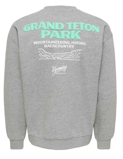 SUDADERA ONSBEJMO DE ONLY&SONS 2