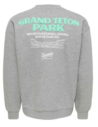 SUDADERA ONSBEJMO DE ONLY&SONS