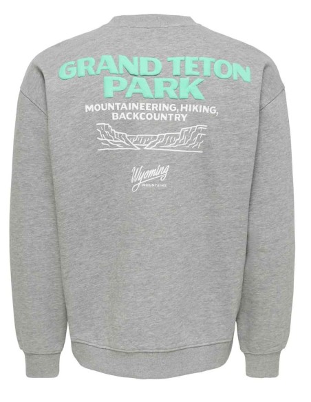 SUDADERA ONSBEJMO DE ONLY&SONS