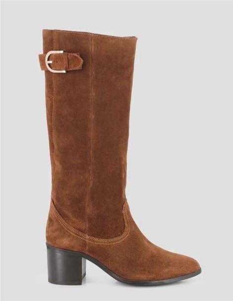 BOTA TANITA DEL BLOGGER