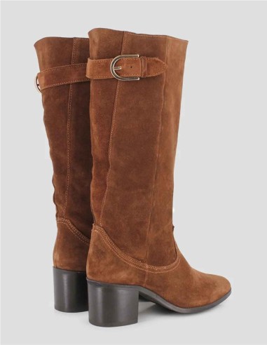 BOTA TANITA DEL BLOGGER